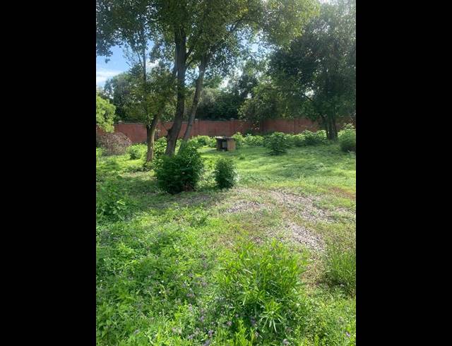 FARM FOR SALE IN GLENFERNESS